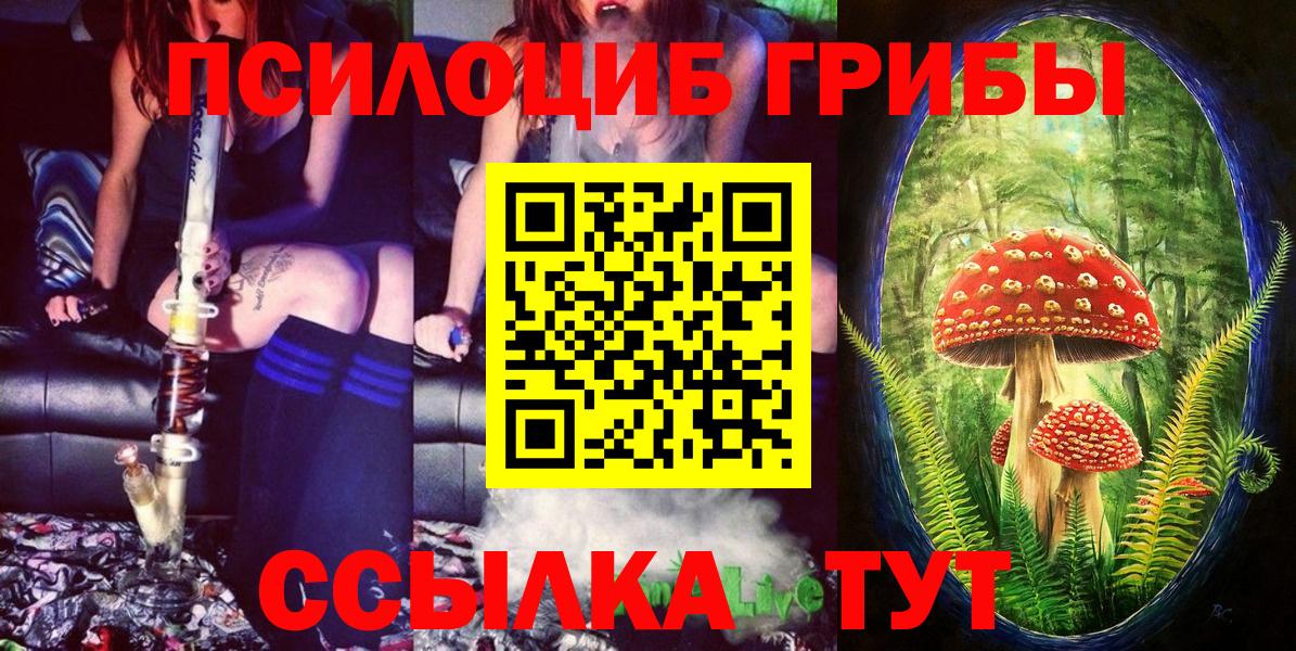 Галлюциногенные грибы GOLDEN TEACHER Северобайкальск
