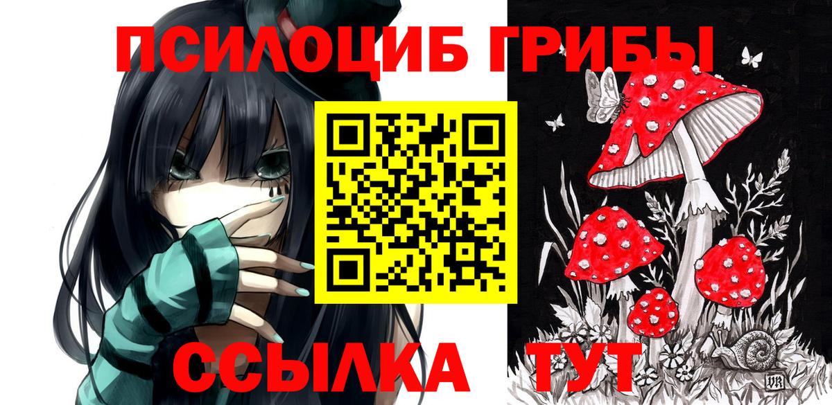 Северобайкальск  Псилоцибиновые грибы мицелий  Вход с VPN  Галлюциногенные грибы Psilocybe 