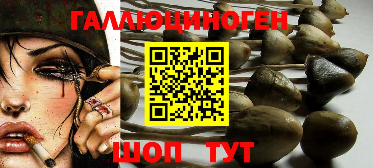 Alpha-PVP СОЛЬ   ГАШ  Вход с VPN  COCAIN  Северобайкальск  Канабис  Меф МЯУ МЯУ   Экстази 